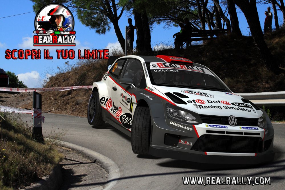 Polo-WRC-11rr.jpg