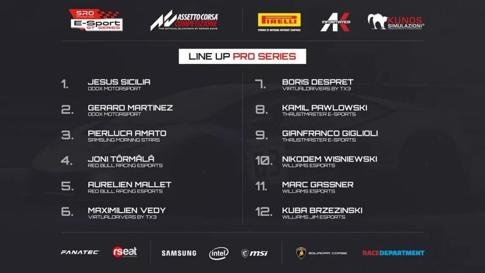 SRO E-Sport GT Series PRO Drivers.jpg
