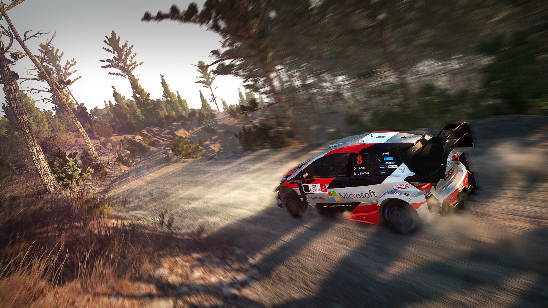 More information about "WRC 8: dettagli, video anteprime e bonus di pre ordine"