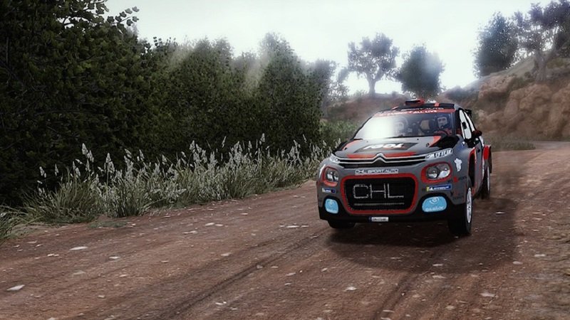 More information about "WRC 8: disponibile un nuovo update"