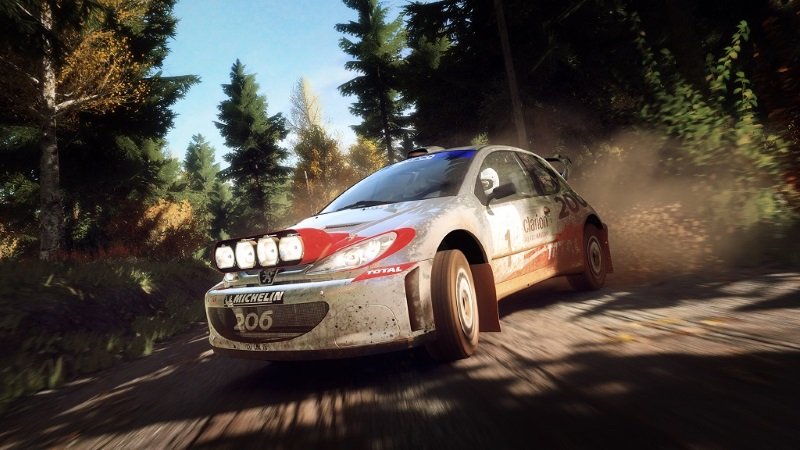 More information about "Dirt Rally 2.0: disponibile update 1.10"