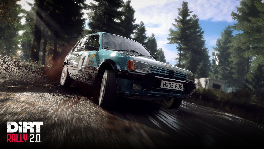 DR2_Peugeot_205GTI_2.jpg