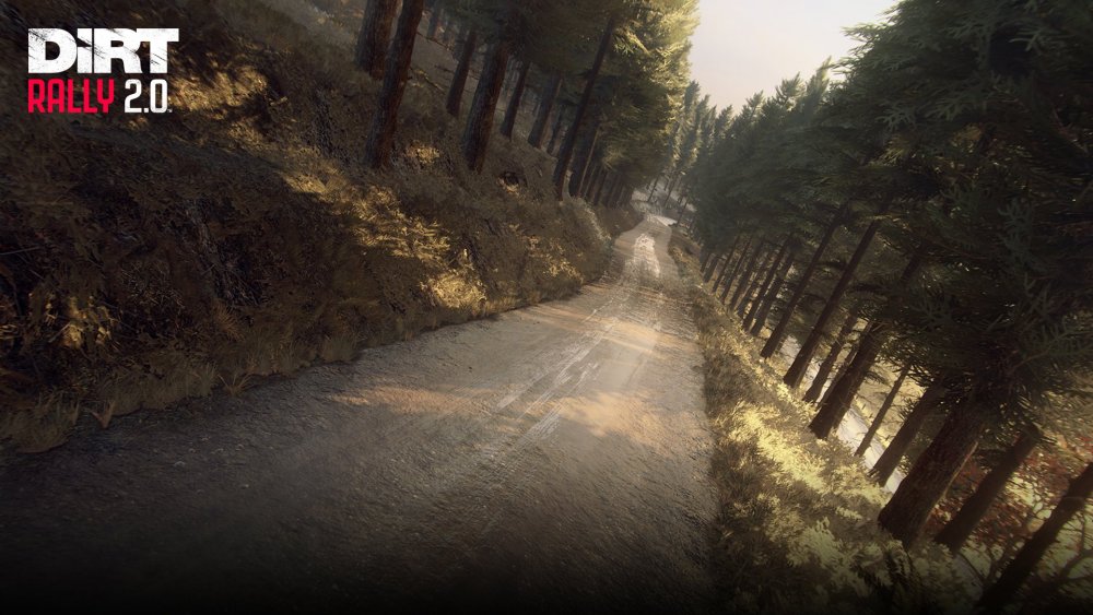 DR2_Rally_Scotland_17.jpg