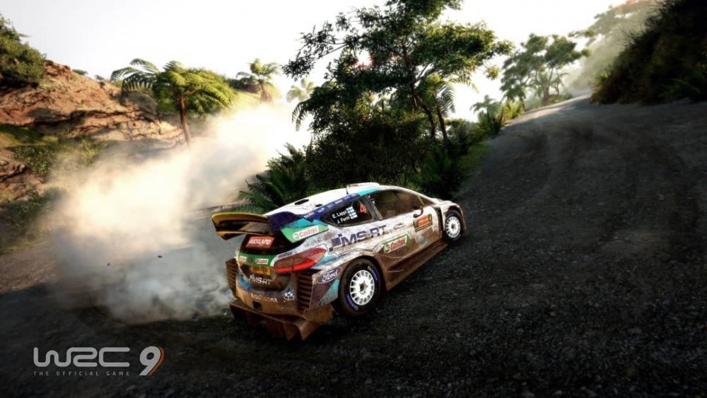 wrc9 3.jpg
