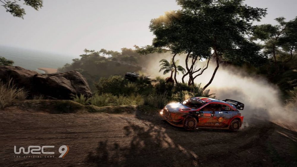 wrc9 2.jpg