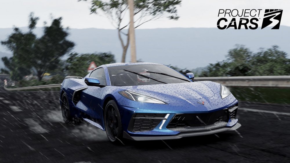 736516849_ProjectCARS3Preview5.thumb.jpg.39636dcb92a80346517e03f1a0414c33.jpg