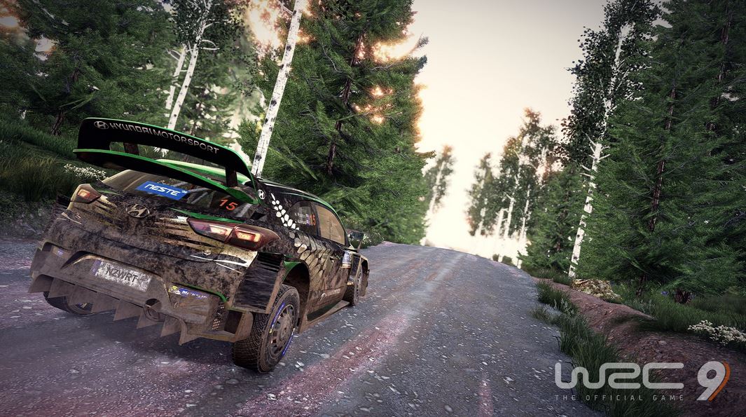 More information about "Primo update gratuito disponibile per WRC 9"