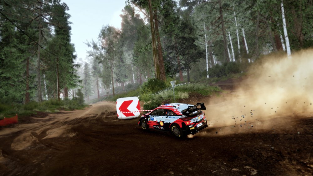 wrc 10_3.jpg