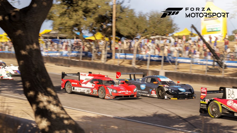 forza-motorsport.jpg