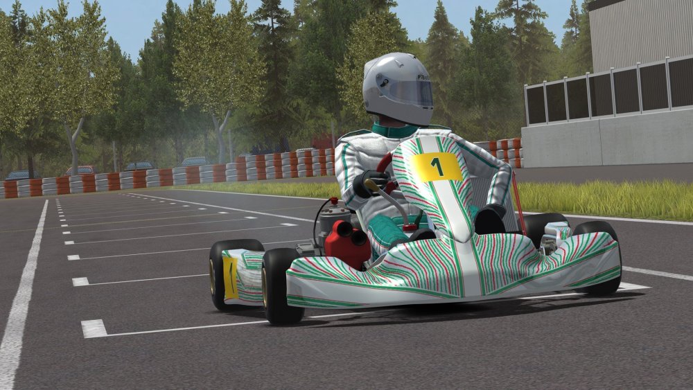 karting.jpg.7fa40b0bb8f38ca2cf139d32fd37dec8.jpg