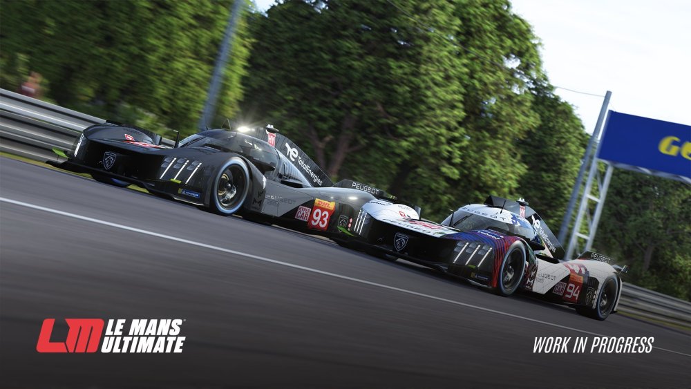 le mans.jpg