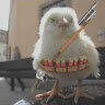 TheChickenSniper_