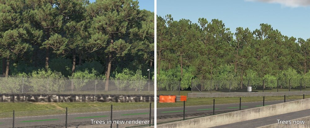 12 treeshadow2.jpg